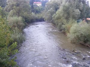 The_Olt_river