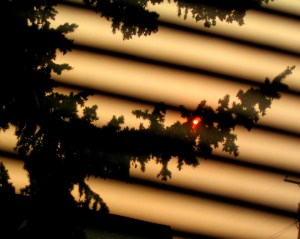 237946238_ca1d002403_b