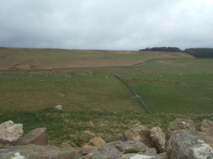 2007_0413Northumberland0079