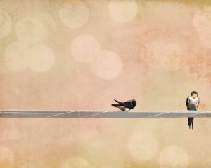 il_fullxfull.274732054