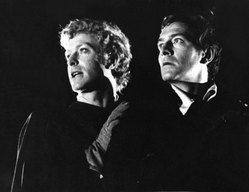 tumblr_m4v3ij8TgU1r2tbuso1_500