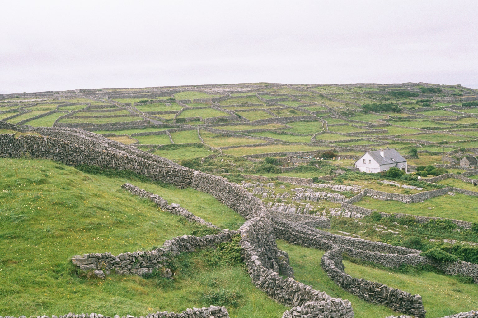 Inisheer_Gardens_2002_dry-stone_walls