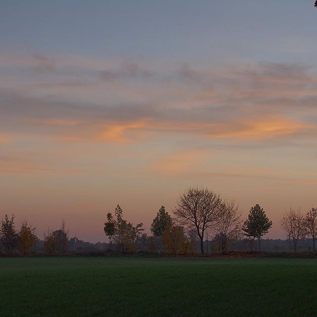 12106280_641080319366623_520747277_n