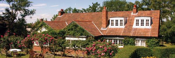 Summer-Seminars-Banner