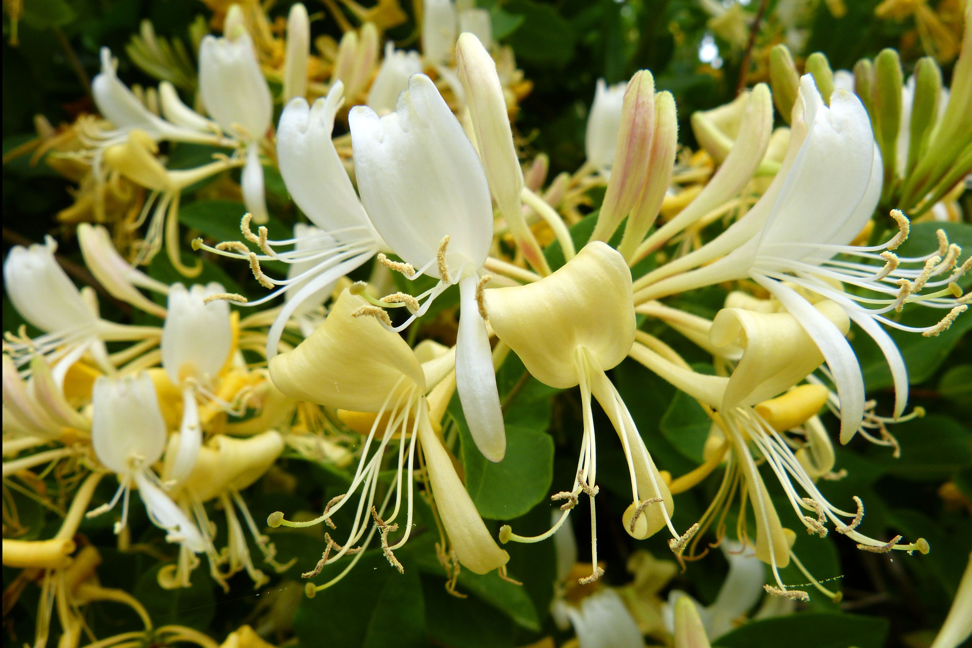 18760c20aca893f3498c9b454119f68d