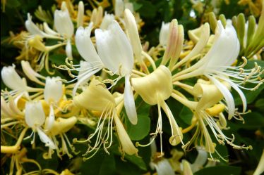 18760c20aca893f3498c9b454119f68d