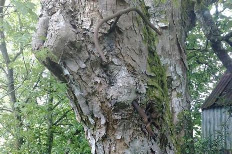 1etwyvqevewegr269wt7k38kmhfdyp.jpeg.gallery